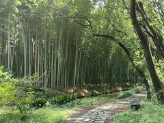 -同里国家湿地公园