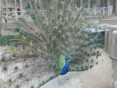 -昆山城市生态森林公园