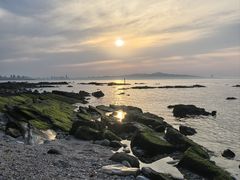 -养马岛旅游度假区