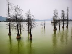 -星湖旅游景区七星岩