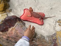 -广州长隆飞鸟乐园