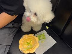 -大叹号·朝鲜族烤肉(潍坊泰华城店)
