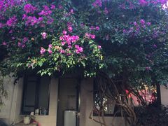 -浔岚云舍mist静谧观景美宿(丽江古城店)