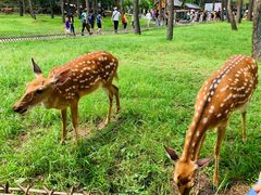 -承德避暑山庄景区