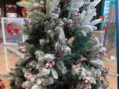 -海马体照相馆(龙湖杭州金沙天街店)