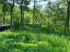 -西湖风景区-江洋畈生态公园