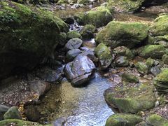 -牛背梁国家森林公园