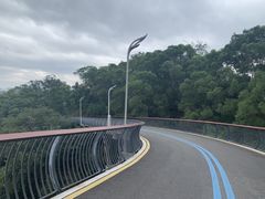-飞凤山奥体公园
