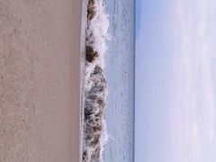-旺富东海大酒楼(海鲜街店)