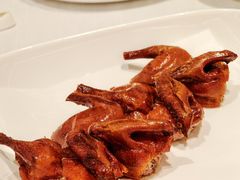 乳鸽-君庭中餐厅(友谊宾馆店)