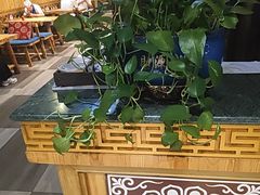 -老阿妈蒙古村·蒙古包·草原文化·歌舞表演(老君堂店)