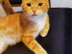 -平行世界·猫咖(首经贸店)