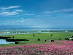 -鄱阳湖国家湿地公园