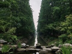 -东平国家森林公园