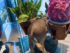 -慢丽江·云南野生菌土鸡锅(付家庄店)