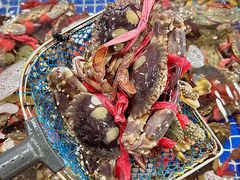 -明记海鲜大排档(巽寮湾店)