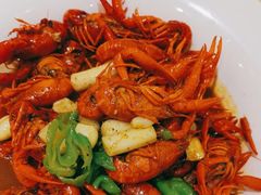 -乐和餐饮(活力源店)