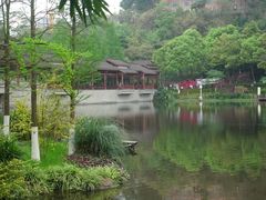 -重庆彩云湖湿地公园