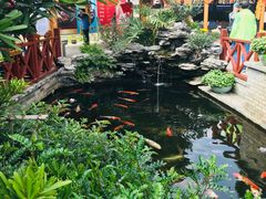 -顺德了能馆(虎门店)