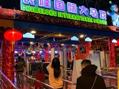 -广州长隆国际大马戏