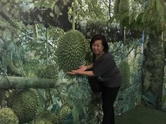 -都念榴莲·城市榴莲