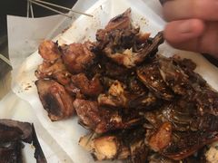 -小桂林烧鸽子