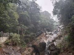 -九龙江国家森林公园