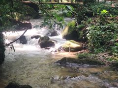 -莫里热带雨林景区