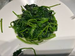 -凤凰湘语(浦东旗舰店)