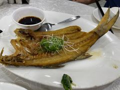 -新志兴至尊烧鹅大王