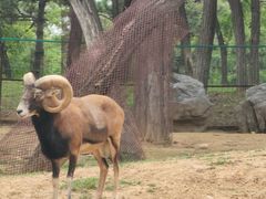 -秦皇岛野生动物园