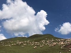 -青海湖国家重点风景名胜区