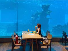 -海棠湾洲际-涛·海底餐厅·美人鱼·自助餐·海底隧道
