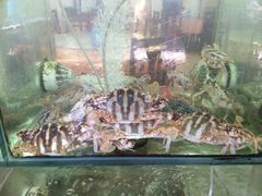 iphone_upload_pic-滑记海鲜饭店·老字号(海鲜街店)