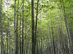 -陶祖圣境风景区