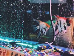 -新辉港式茶餐厅(北栅店)