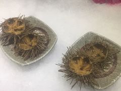 海胆-阳光岛·海鲜盛宴(银泰中心in99店)