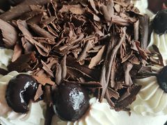 -视界美食自助餐厅·石家庄希尔顿酒店