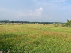 -塞罕坝国家级自然保护区