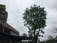 -成都蒲江花样年福朋喜来登度假酒店·宜客乐西餐厅