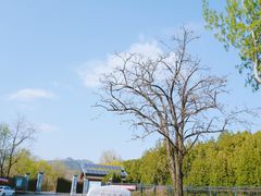 -十三陵水库