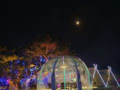 -二一九公园