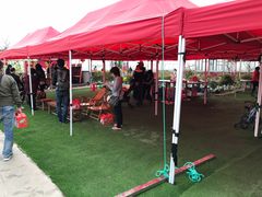 -小鱼草莓采摘园农家乐·小鱼餐厅