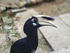 -杭州野生动物世界