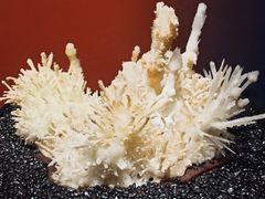 -山东博物馆