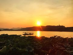-湖畔居茶楼(湖滨店)