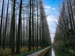 -上海怡沁园度假酒店