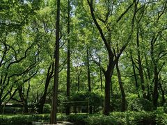 -徐家汇源景区-衡山公园