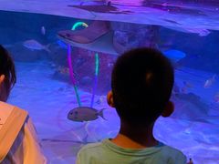 -沈阳海洋探索中心