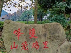 -野蔓果·山野菜(西湖景区·龙井茶田店)